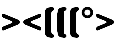 ASCIIFISH Software Consulting GmbH